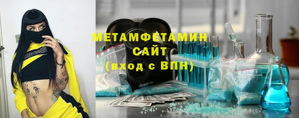 сатива Новокубанск