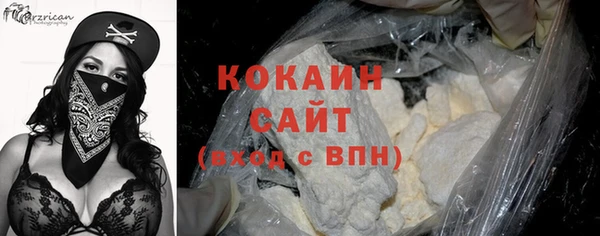 сатива Новокубанск