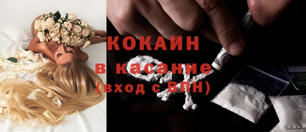 сатива Новокубанск