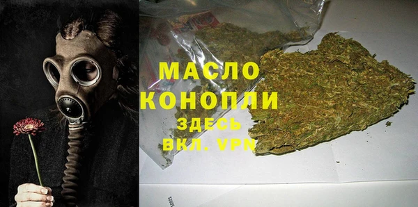 сатива Новокубанск