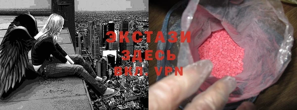 сатива Новокубанск